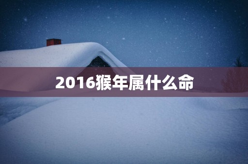 2016猴年属什么命