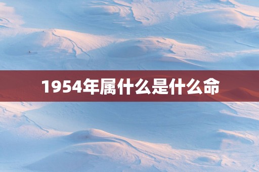 1954年属什么是什么命