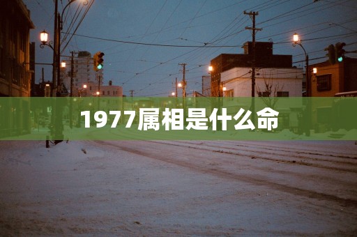 1977属相是什么命