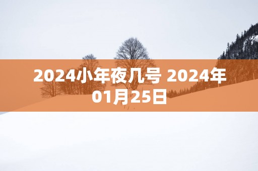 2025小年夜几号 2025年01月25日