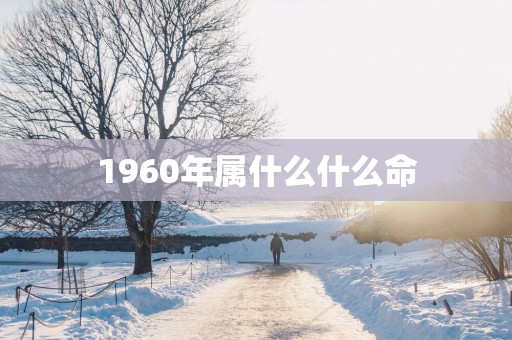 1960年属什么什么命