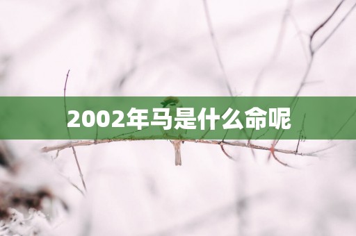 2002年马是什么命呢