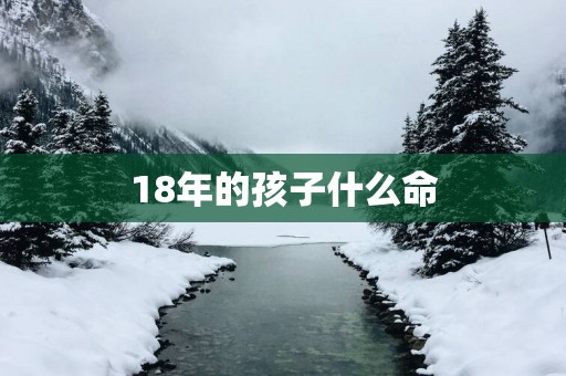 18年的孩子什么命