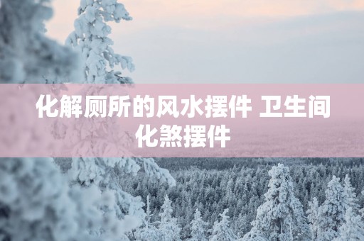 化解厕所的风水摆件 卫生间化煞摆件