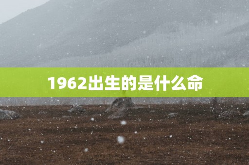 1962出生的是什么命