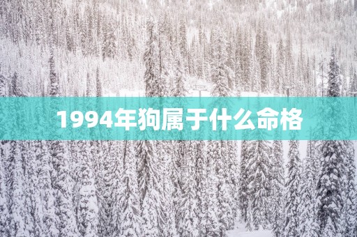 1994年狗属于什么命格
