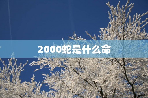 2000蛇是什么命