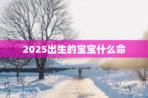 2025出生的宝宝什么命
