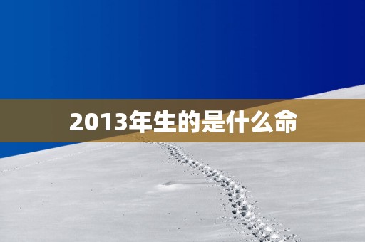 2013年生的是什么命