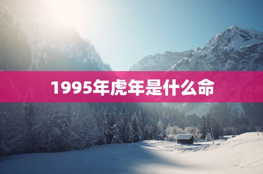 1995年蛇年是什么命