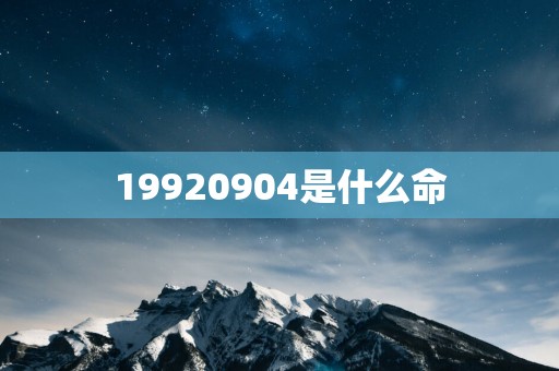 19920904是什么命