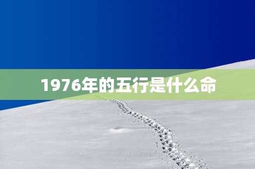 1976年的五行是什么命