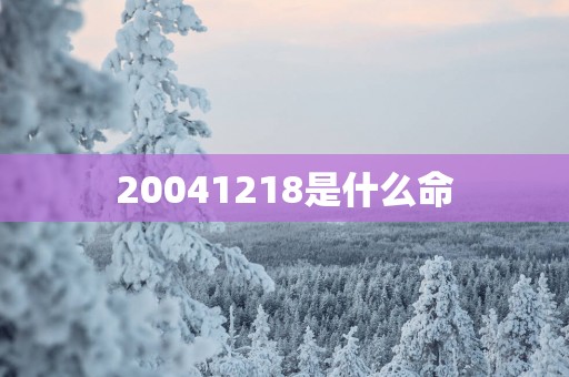 20041218是什么命