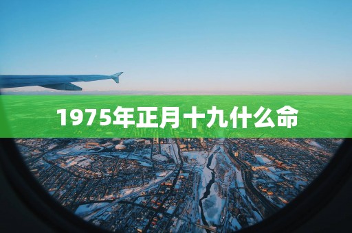 1975年正月十九什么命
