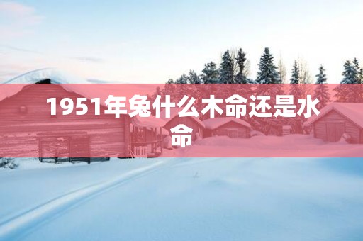 1951年兔什么木命还是水命