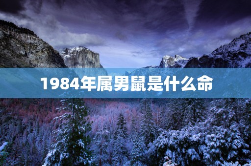 1984年属男鼠是什么命