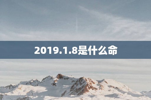 2019.1.8是什么命