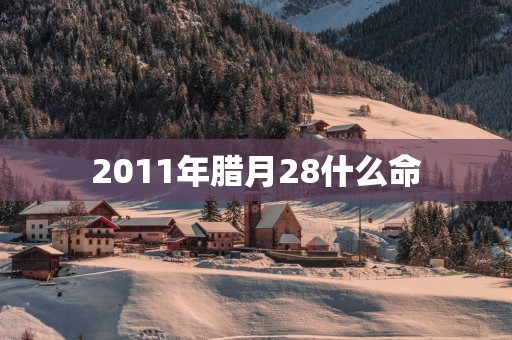 2011年腊月28什么命