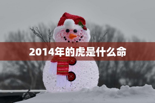 2014年的虎是什么命