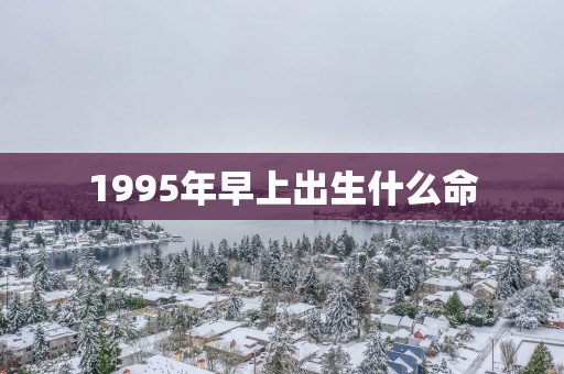 1995年早上出生什么命