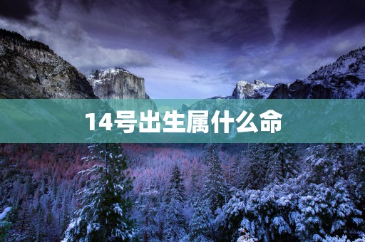 14号出生属什么命