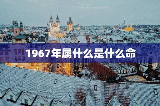 1967年属什么是什么命