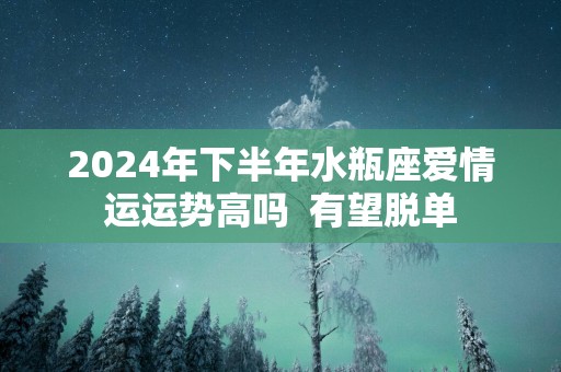 2025年下半年水瓶座爱情运运势高吗  有望脱单
