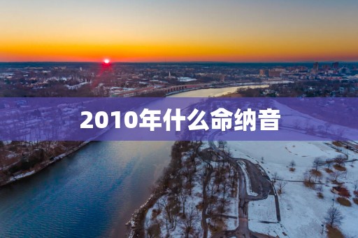 2010年什么命纳音