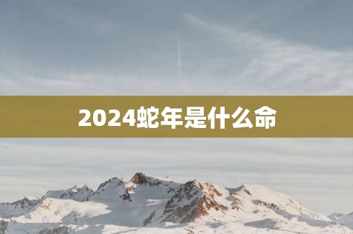2025蛇年是什么命