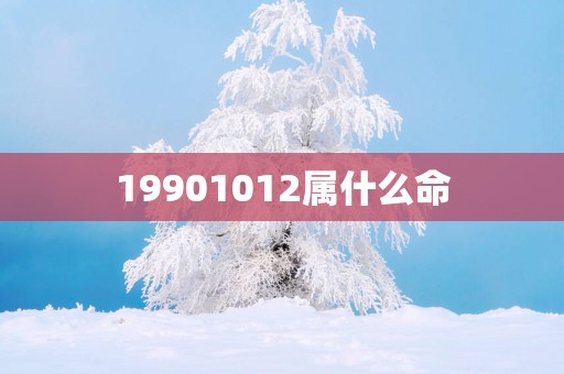 19901012属什么命