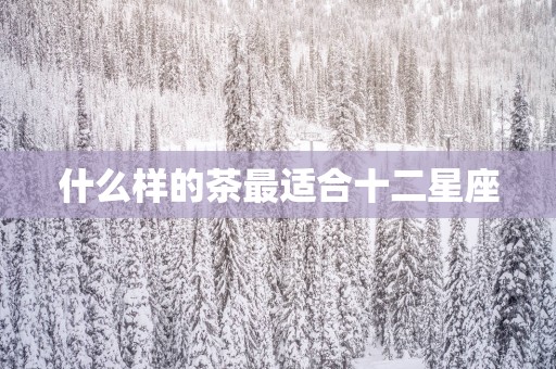 什么样的茶最适合十二星座