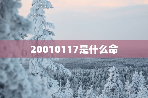 20010117是什么命