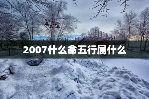 2007什么命五行属什么