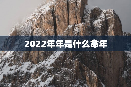2025年年是什么命年