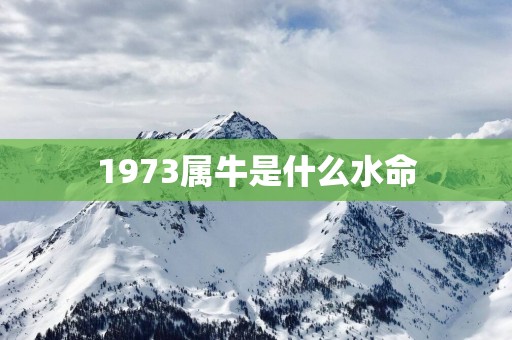 1973属牛是什么水命