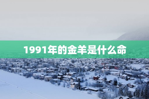 1991年的金羊是什么命