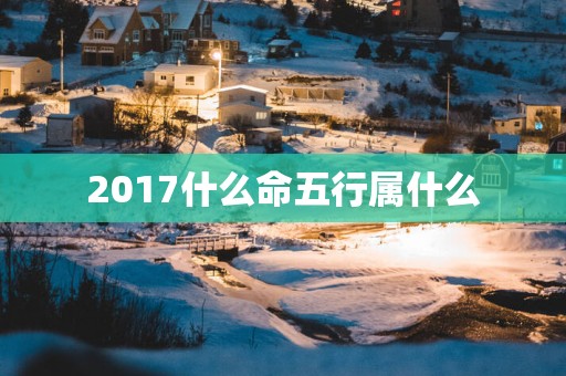 2017什么命五行属什么