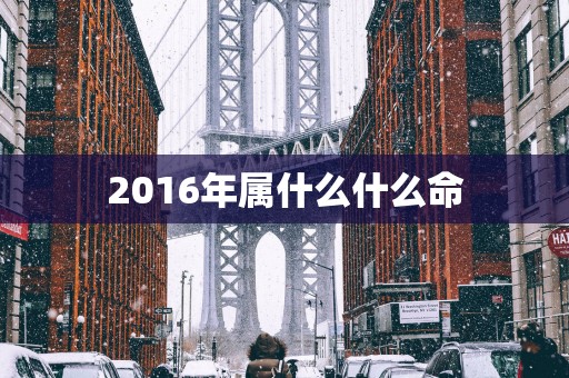 2016年属什么什么命