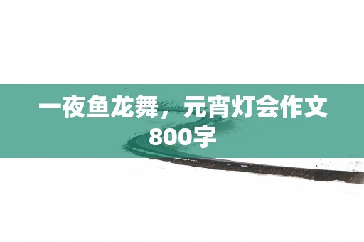 一夜鱼龙舞，元宵灯会作文800字