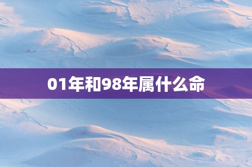 01年和98年属什么命