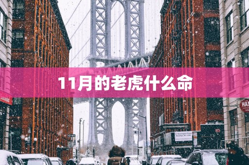 11月的老虎什么命