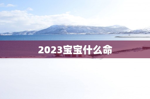 2025宝宝什么命