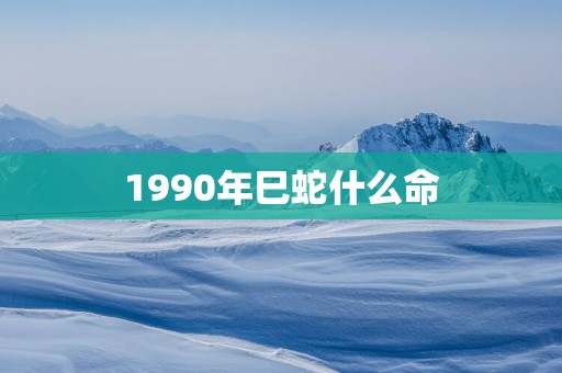 1990年巳蛇什么命