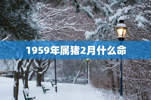 1959年属猪2月什么命