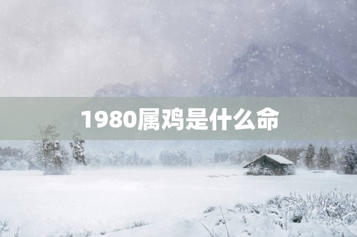1980属鸡是什么命