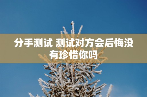 分手测试 测试对方会后悔没有珍惜你吗