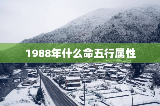 1988年什么命五行属性