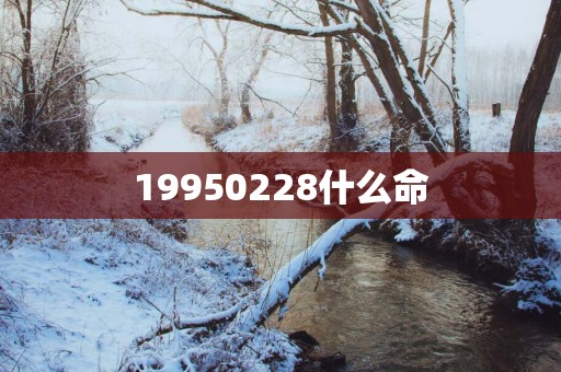 19950228什么命