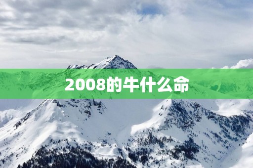 2008的牛什么命