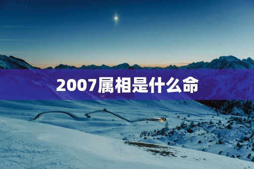 2007属相是什么命